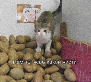 😌