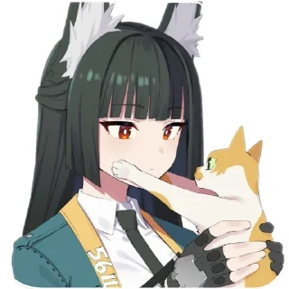 😺