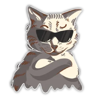 😎