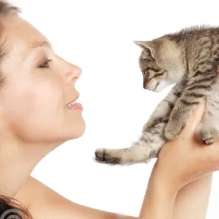 🐈