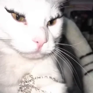 💅