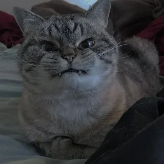 💗