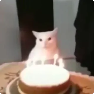 🎂