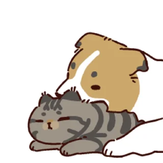 🐱