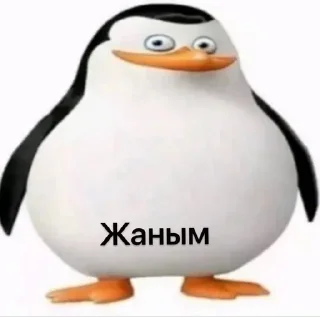 💓