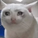 😭