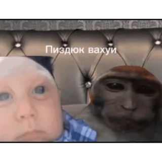 🐵