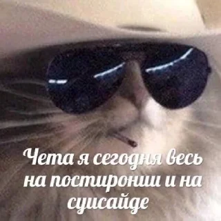😎