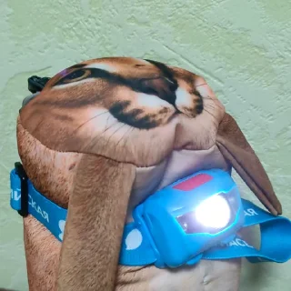 😳