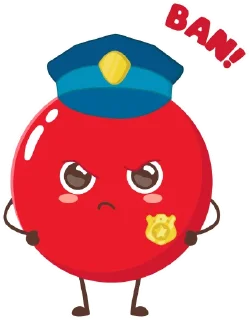 👮‍♂️
