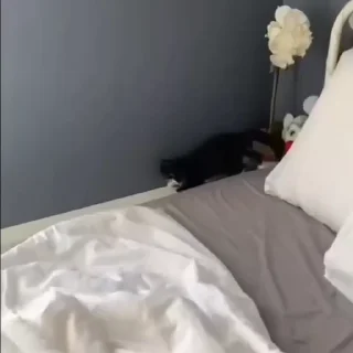 🥰
