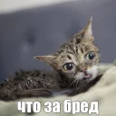 🙁