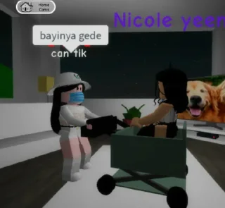 🏚