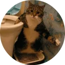 🐱