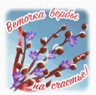 🌷