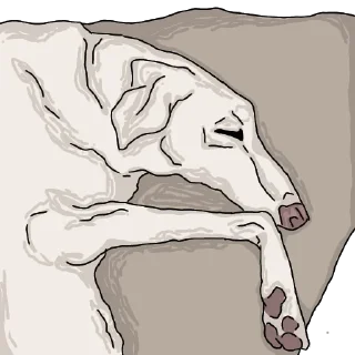💤