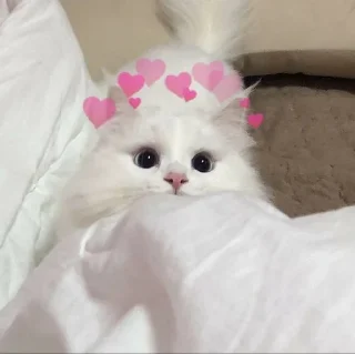 ❤️