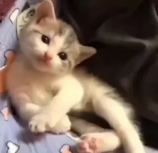 🌟