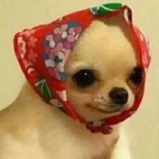 😌