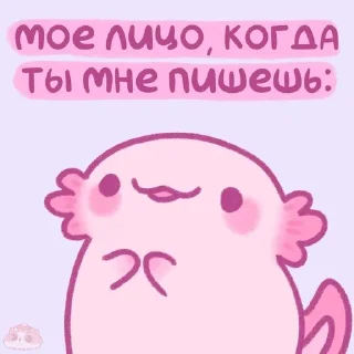 💗