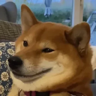😏