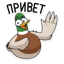 👋