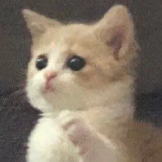 🫣