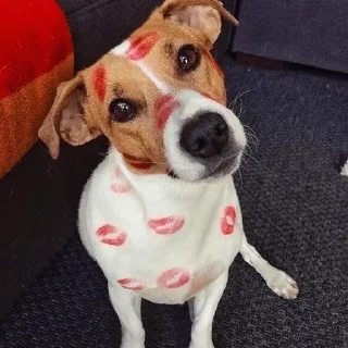 💋