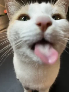 😛
