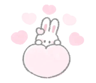 🐰
