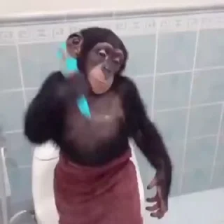 🌟