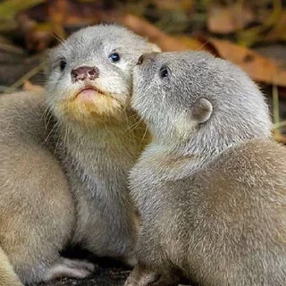 😘