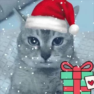 🎅
