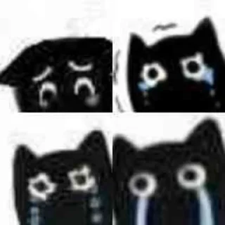 🐱