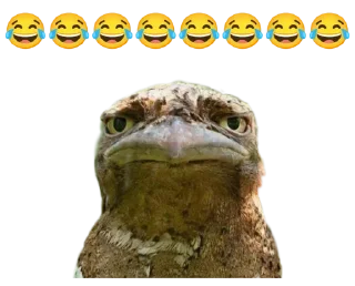 🪃