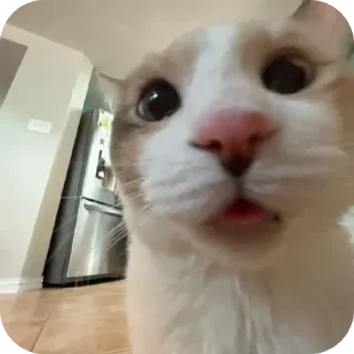 🤨