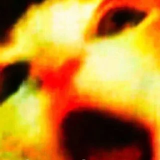 😡