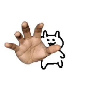 😼