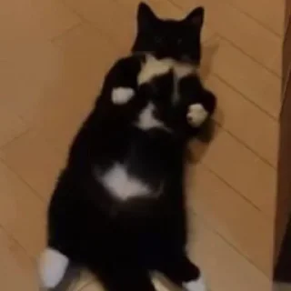 ☠