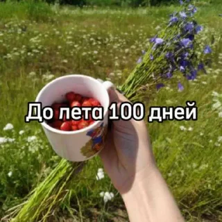До лета 🌞