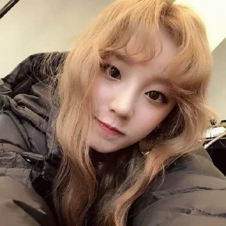 🌟