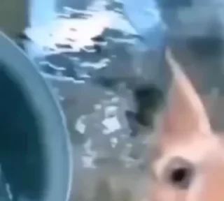 😳