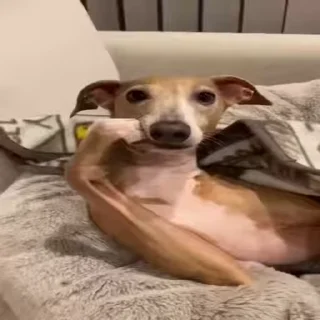 😐