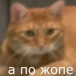 🤭