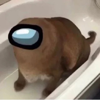 👻