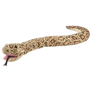 🐍