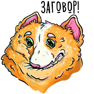 🙀