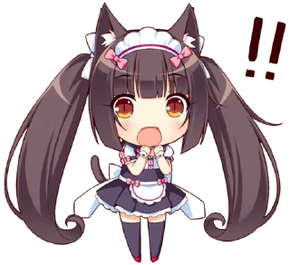 🙀