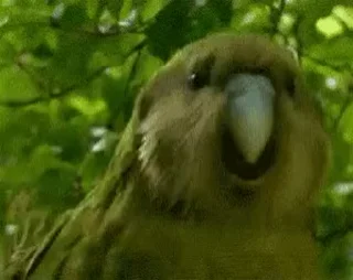 😀