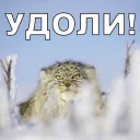 😠